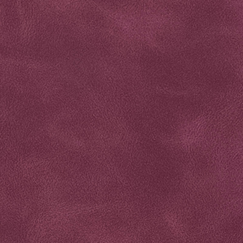 Pochette latérale Agrasen Ki Baoli — vue 2