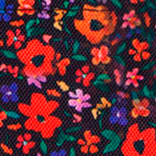 Pochette Nano Indiana State Museum — vue 2