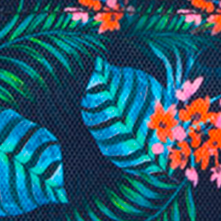 Pochette Nano Parque Seminario — vue 2